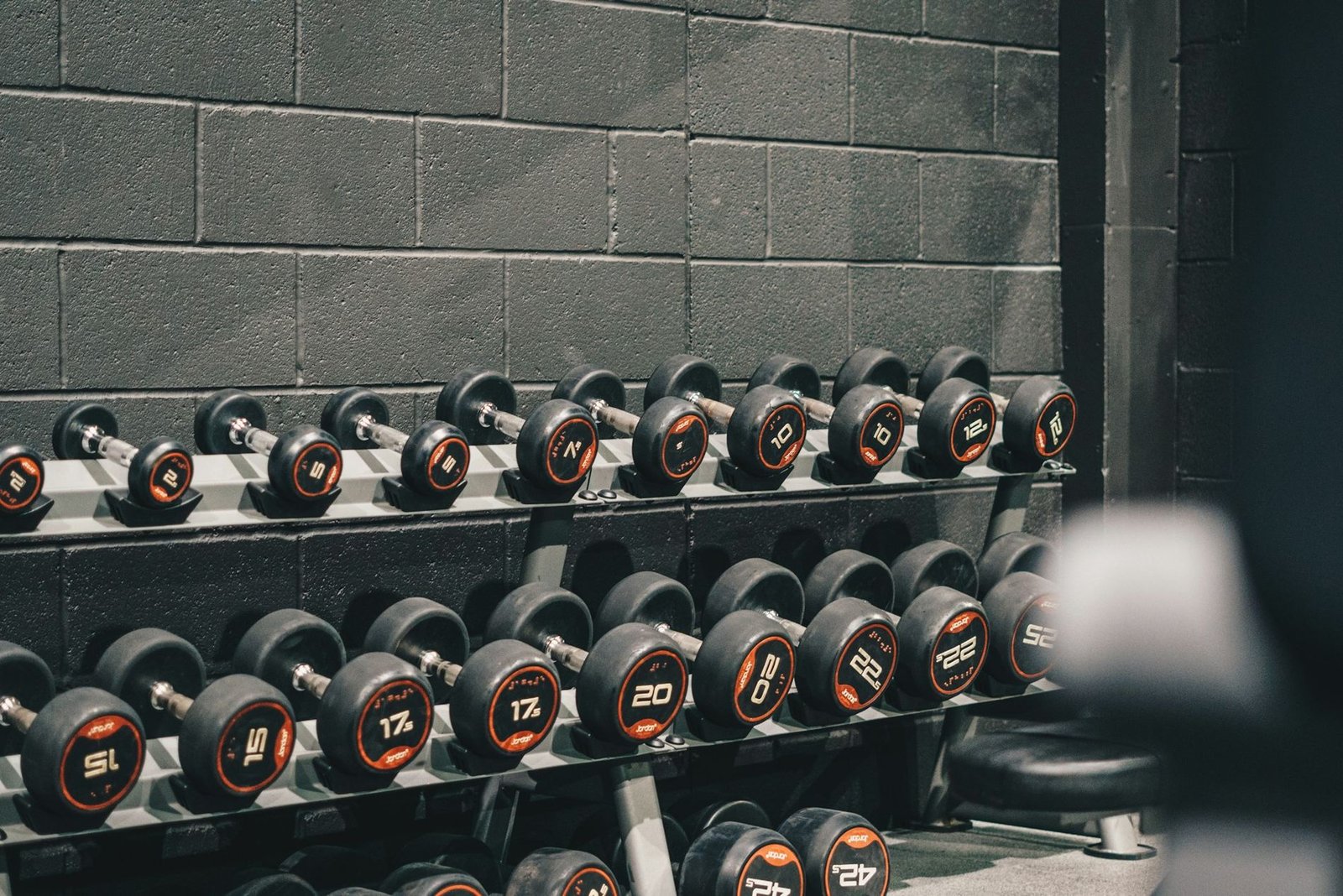 Rows of dumbbells on a rack in a gym